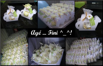 Finish Arrosoirs.jpg